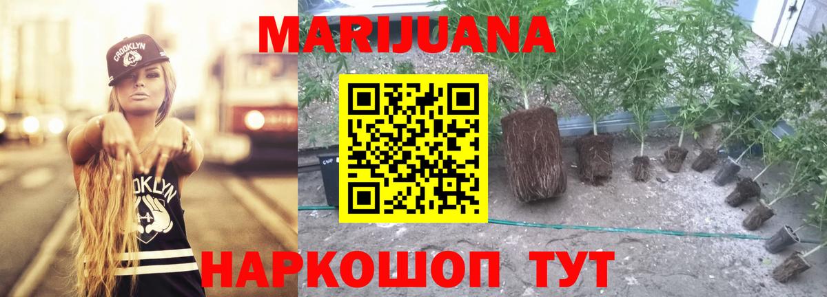 Бошки Шишки SATIVA & INDICA  Вход с VPN  Коммунар  Шишки марихуана Ganja  Бошки Шишки марихуана  Бошки марихуана Bruce Banner 